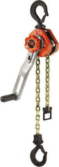 CM - 1,500 Lb Lifting Capacity, 5' Lift Height, Lever Hoist - Made from Chain, 47.2 Lb Avg Pull to Lift Rated Load, 1 Chain - Apex Tool & Supply