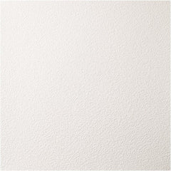 Genesis - Pack of 12 Stucco Pro 23-3/4" x 23-3/4" x 0.197" Vinyl Ceiling Tiles - Apex Tool & Supply