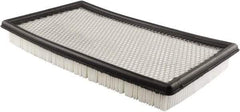 Hastings - Automotive Air Filter - Caterpillar 1167376, Donaldson P609445 - Hastings PA4659 - Apex Tool & Supply
