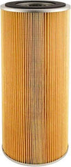Hastings - Automotive Hydraulic Filter - AC Delco PF218, Allis Chalmers 40494962, Donaldson P551336, Fram FH58PL - Fram FH58PL, GMC 5578395, Hastings PT119, Purolator P259, Wix CW58MP - Apex Tool & Supply