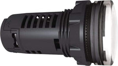 Schneider Electric - 24 V White Lens LED Pilot Light - Apex Tool & Supply