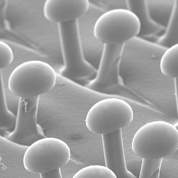 3M - 7" Diam Hook & Loop Disc Backing Pad - 6,000 RPM - Apex Tool & Supply