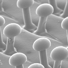 3M - 7" Diam Hook & Loop Disc Backing Pad - 6,000 RPM - Apex Tool & Supply