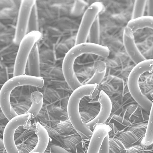 3M - 6" Diam Hook & Loop Disc Backing Pad - 12,000 RPM - Apex Tool & Supply