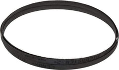Lenox - 10 to 14 TPI, 13' 3" Long x 1/2" Wide x 0.025" Thick, Welded Band Saw Blade - Bi-Metal, Toothed Edge, Modified Raker Tooth Set, Flexible Back, Contour Cutting - Apex Tool & Supply