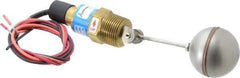 Thomas Products Ltd. - 1" Thread, 900 Max psi, 300°F Max, Liquid Level Side Mounted Float Switches - Brass Stem - Apex Tool & Supply