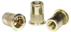 RivetKing - 0.13 to 0.225" Grip, Steel Standard Rivet Nut - Zinc Yellow Dichromate Finish, Countersunk Head - Apex Tool & Supply