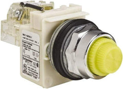 Schneider Electric - 120 VAC Yellow Lens LED Indicating Light - Screw Clamp Connector - Apex Tool & Supply