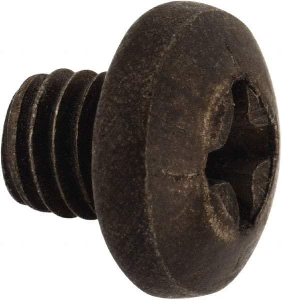 Made in USA - #10-32 UNF, 3/16" Length Under Head Phillips Drive Machine Screw - Pan Head, Grade 18-8 Stainless Steel, Black Oxide Finish, Without Washer - Apex Tool & Supply