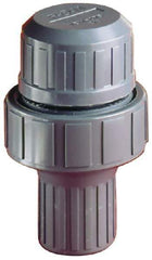 Plast-O-Matic - 1" Pipe, 100 Max psi, PVC, Normally Closed Design Vacuum Breaker Valve - EPDM Seal, NPT End Connections - Apex Tool & Supply