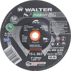 WALTER Surface Technologies - 6" Diam, 36 Grit Surface Grinding Wheel - Apex Tool & Supply