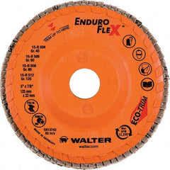 WALTER Surface Technologies - 80 Grit, 5" Disc Diam, 7/8" Center Hole, Type 28 Ceramic Flap Disc - 12,200 Max RPM, Plastic Backing, Arbor Attaching System, Coated - Apex Tool & Supply