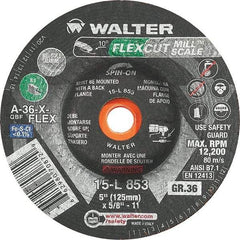 WALTER Surface Technologies - 5" Diam, 36 Grit Surface Grinding Wheel - Apex Tool & Supply