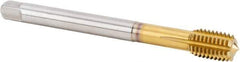 Kennametal - M12x1.75 Metric Coarse 6HX Modified Bottoming Thread Forming Tap - Powdered Metal High Speed Steel, TiN Finish, 110mm OAL, 18mm Thread Length, Right Hand Thread, Series T622 - Apex Tool & Supply