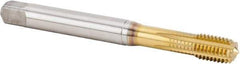 Kennametal - M10x1.50 Metric Coarse 6HX Modified Bottoming Thread Forming Tap - Powdered Metal High Speed Steel, TiN Finish, 100mm OAL, 16mm Thread Length, Right Hand Thread, Series T622 - Apex Tool & Supply