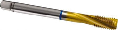 Guhring - M24x1.50 Metric Fine 4 Flute 6H Modified Bottoming Spiral Flute Tap - Cobalt, TiN Finish, 140mm OAL, Right Hand Flute, Right Hand Thread, D6/D7, Series 2897 - Apex Tool & Supply