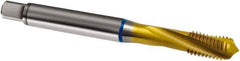 Guhring - M10x1.50 Metric 3 Flute 6H Modified Bottoming Spiral Flute Tap - Cobalt, TiN Finish, 100mm OAL, Right Hand Flute, Right Hand Thread, D4/D5, Series 2896 - Apex Tool & Supply