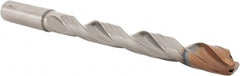 Walter-Titex - 1/2" 140° Solid Carbide Jobber Drill - Apex Tool & Supply