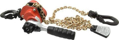 CM - 1,100 Lb Lifting Capacity, 5' Lift Height, Mini-Ratchet Lever Hoist - Made from Chain, 56 Lb Avg Pull to Lift Rated Load, 1 Chain - Apex Tool & Supply
