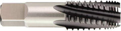 OSG - 1/8-27 NPTF, 3 Flutes, TiCN Coated, High Speed Steel, Interrupted Thread Pipe Tap - 7/16 Inch Shank Diameter, 7/16 Inch Shank Diameter, 3/4 Inch Thread Length, 0.32 Inch Square Size, 2-1/2 Chamfer, Series 12054 - Apex Tool & Supply