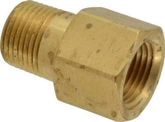 Parker - 3/8 Male Thread x 3/8 Female Thread, Brass Industrial Pipe Adapter - MBSPT x FNPTF, 1,000 psi - Apex Tool & Supply
