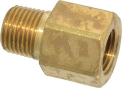 Parker - 1/8 Male Thread x 1/8 Female Thread, Brass Industrial Pipe Adapter - MNPTF x FBSPP, 1,000 psi - Apex Tool & Supply