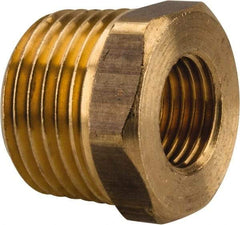 Parker - 1/2 Male Thread x 1/4 Female Thread, Brass Industrial Pipe Hex Bushing - MBSPT x FBSPP, 1,000 psi - Apex Tool & Supply