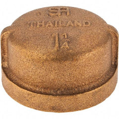 Merit Brass - Class 125, 1-1/4" Internal Pipe, Brass End Cap - FBSPT - Apex Tool & Supply