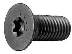 Camcar - 1/4-28 UNF Torx Plus Drive, 82° Flat Screw - Alloy Steel, Black Oxide Finish, Fully Threaded, 1" OAL - Apex Tool & Supply