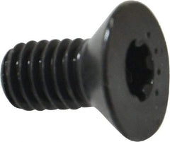 Camcar - 5/16-18 UNC Torx Plus Drive, 82° Flat Screw - Alloy Steel, Black Oxide Finish, Fully Threaded, 5/8" OAL - Apex Tool & Supply