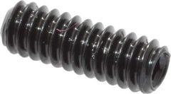 Made in USA - #2-56 UNC, 1/4" Length Under Head, Cup Point Set Screw - Grade 8 Alloy Steel, 0.035" Key - Apex Tool & Supply