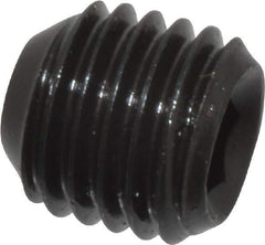 Made in USA - 5/16-24 UNF, 5/16" Length Under Head, Cup Point Set Screw - Grade 8 Alloy Steel, 5/32" Key - Apex Tool & Supply