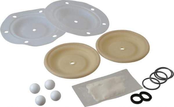 ARO/Ingersoll-Rand - PTFE Fluid Section Repair Kit - For Use with Diaphragm Pumps - Apex Tool & Supply