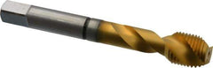 Guhring - 1/2-20 UNF 2 Flute 2B Modified Bottoming Spiral Flute Tap - Cobalt, TiN Finish, 3.381" OAL, Right Hand Flute, Right Hand Thread, Series 3935 - Apex Tool & Supply