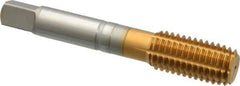 Guhring - 5/8-11 UNC 2BX H11/H12 Thread Limit Modified Bottoming Thread Forming Tap - Cobalt, TiN Finish, 3-13/16" OAL, 0.945" Thread Length, Right Hand Thread, Series 3940 - Apex Tool & Supply