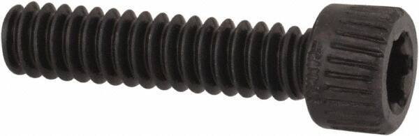 Camcar - #4-40 UNC Torx Plus Drive, Socket Cap Screw - Alloy Steel, Black Oxide Finish, Fully Threaded, 1/2" Length Under Head - Apex Tool & Supply