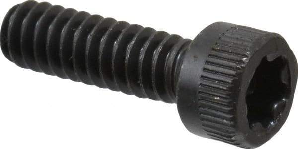 Camcar - #10-24 UNC Torx Plus Drive, Socket Cap Screw - Alloy Steel, Black Oxide Finish, Fully Threaded, 5/8" Length Under Head - Apex Tool & Supply