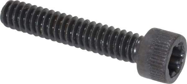 Camcar - #10-24 UNC Torx Plus Drive, Socket Cap Screw - Alloy Steel, Black Oxide Finish, Fully Threaded, 1" Length Under Head - Apex Tool & Supply