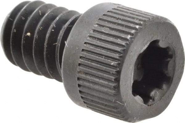 Camcar - 1/4-20 UNC Torx Plus Drive, Socket Cap Screw - Alloy Steel, Black Oxide Finish, Fully Threaded, 3/8" Length Under Head - Apex Tool & Supply