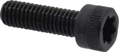 Camcar - #10-32 UNF Torx Plus Drive, Socket Cap Screw - Alloy Steel, Black Oxide Finish, Fully Threaded, 5/8" Length Under Head - Apex Tool & Supply