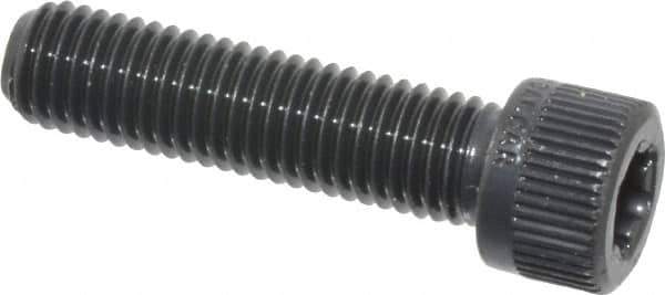 Camcar - 1/4-28 UNF Torx Plus Drive, Socket Cap Screw - Alloy Steel, Black Oxide Finish, Fully Threaded, 1" Length Under Head - Apex Tool & Supply