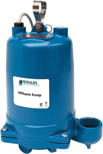 Goulds Pumps - 1-1/2 hp, 208 VAC Amp Rating, 208 VAC Volts, Single Speed Continuous Duty Operation, Effluent Pump - 1 Phase, Cast Iron Housing - Apex Tool & Supply