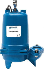Goulds Pumps - 1 hp, 230 VAC Amp Rating, 230 VAC Volts, Single Speed Continuous Duty Operation, Sewage Pump - 3 Phase, Cast Iron Housing - Apex Tool & Supply