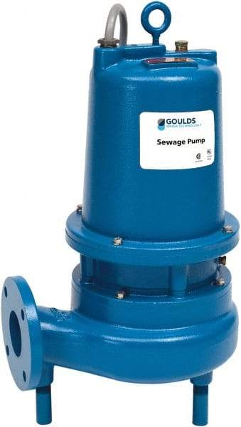 Goulds Pumps - 5 hp, 230 VAC Amp Rating, 230 VAC Volts, Single Speed Continuous Duty Operation, Sewage Pump - 1 Phase, Cast Iron Housing - Apex Tool & Supply