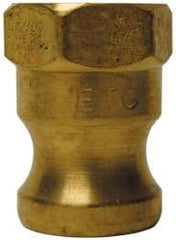 EVER-TITE Coupling Products - 3" Brass Cam & Groove Suction & Discharge Hose Male Adapter Female NPT Thread - Part A, 3" Thread, 250 Max psi - Apex Tool & Supply
