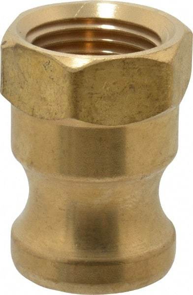 EVER-TITE Coupling Products - 1/2" Brass Cam & Groove Suction & Discharge Hose Male Adapter Female NPT Thread - Part A, 1/2" Thread, 200 Max psi - Apex Tool & Supply