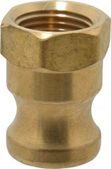 EVER-TITE Coupling Products - 1/2" Brass Cam & Groove Suction & Discharge Hose Male Adapter Female NPT Thread - Part A, 1/2" Thread, 200 Max psi - Apex Tool & Supply