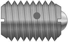 Vlier - M8x1.25, 5mm Ball Diam, 16mm Body Length, 1.5mm Max Ball Reach, Threaded Ball Plunger - Stainless Steel Body, Nylon Ball, 1.12 Lb Initial End Force, 2.25 Lb Final End Force - Apex Tool & Supply