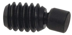Gibraltar - 5/16-18, 1-1/2" OAL, Stainless Steel, Swivel Pad - Delrin Pad, Black Oxide Finish, 0.24" Pad Diam, 1-19/64" Thread Length, 7.5° Swivel Angle, 5/32" Hex Key - Apex Tool & Supply