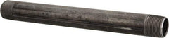 B&K Mueller - Schedule 40, 3/4" Diam x 9" Long Steel Black Pipe Nipple - Threaded - Apex Tool & Supply